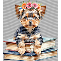 Animal Integration-DW 293